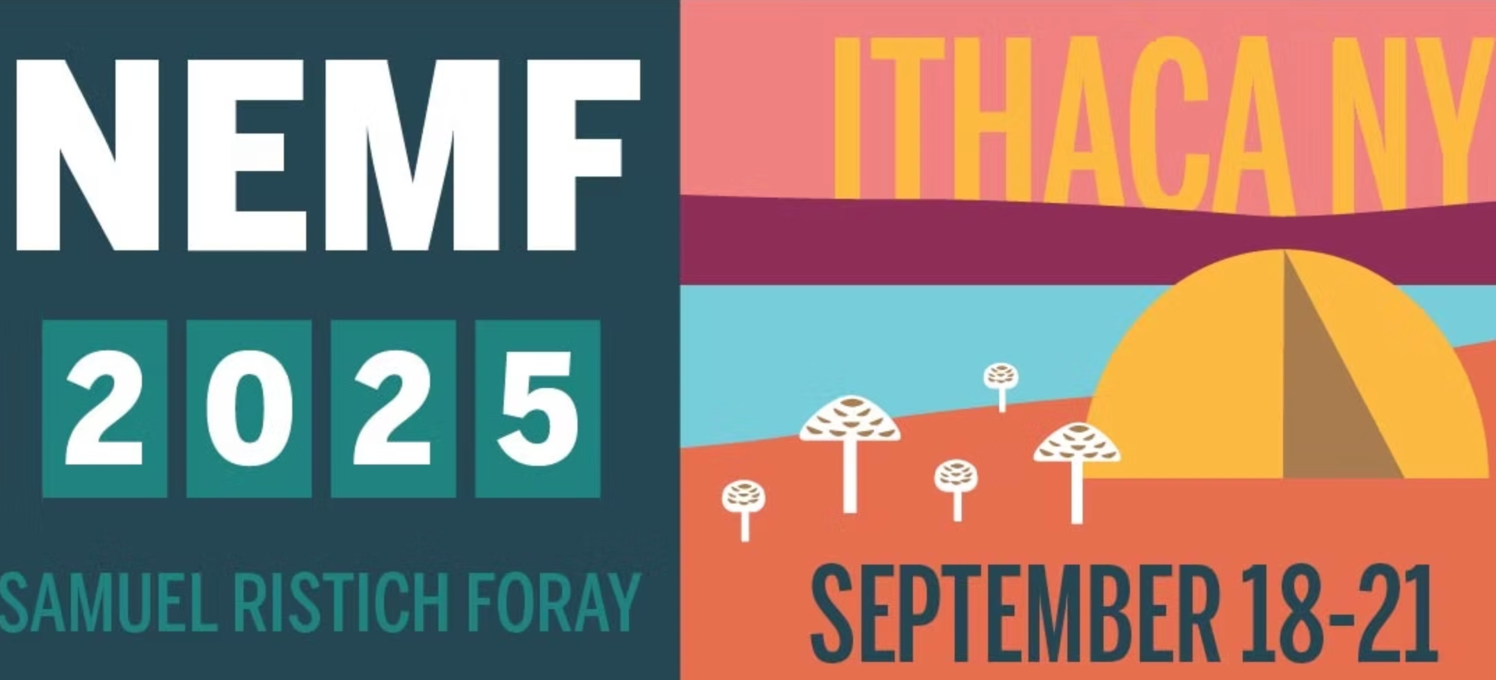 Annual NEMF Samuel Ristich Foray 2025