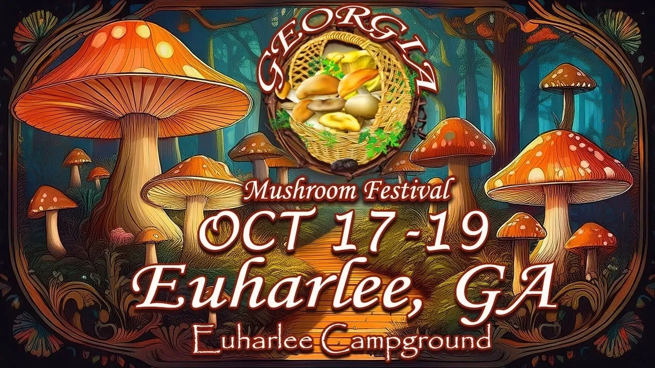 Georgia Mushroom Festival 2025