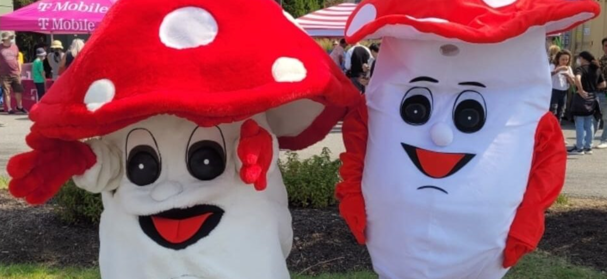 The Mushroom Festival