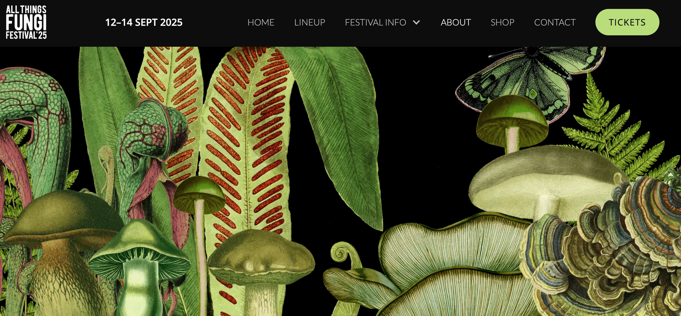 All Things Fungi Festival 2025
