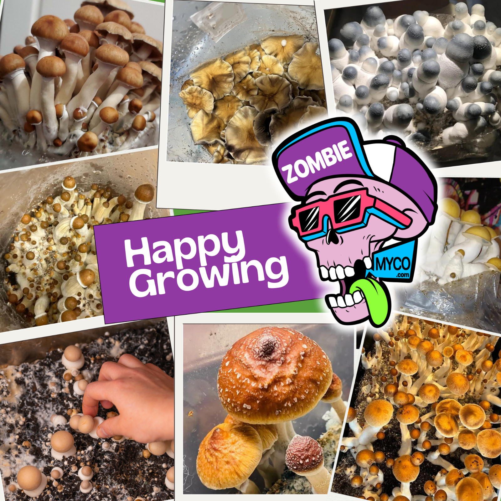 Happy Growing! zombiemyco.com
