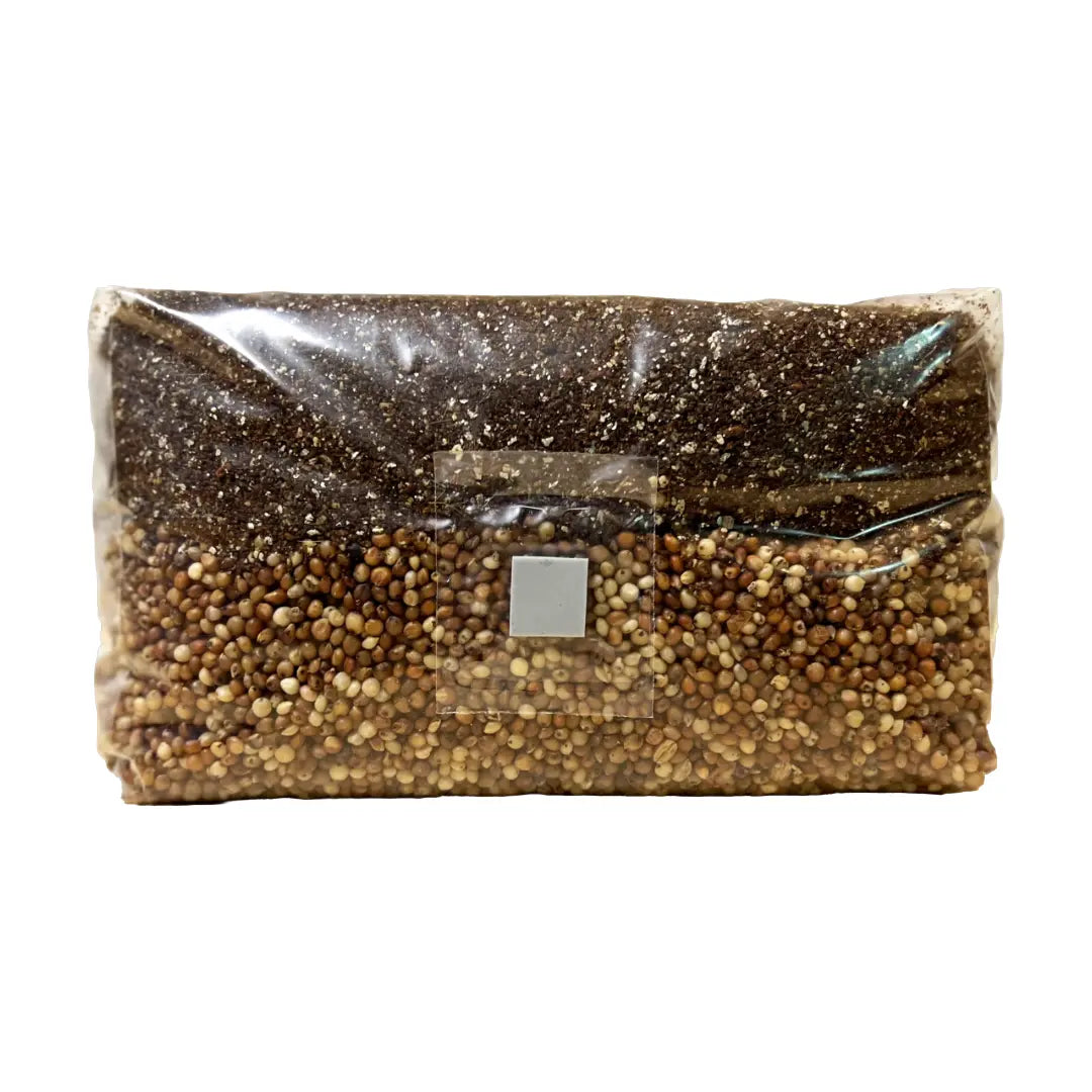 5lb Mushroom Grow Bag | Affordable Kit for Easy Growing