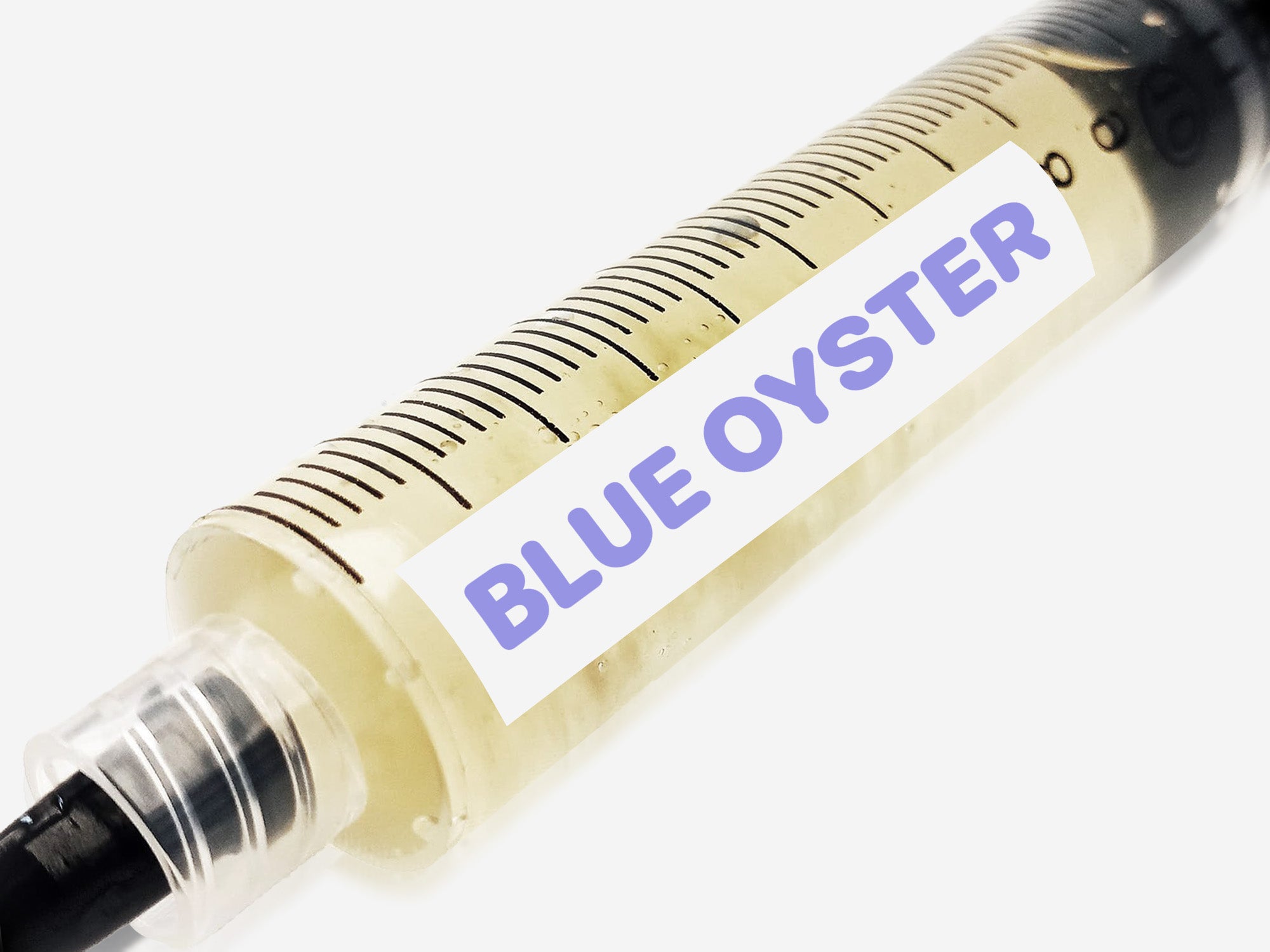 Blue Oyster Liquid Culture Syringe 10mL