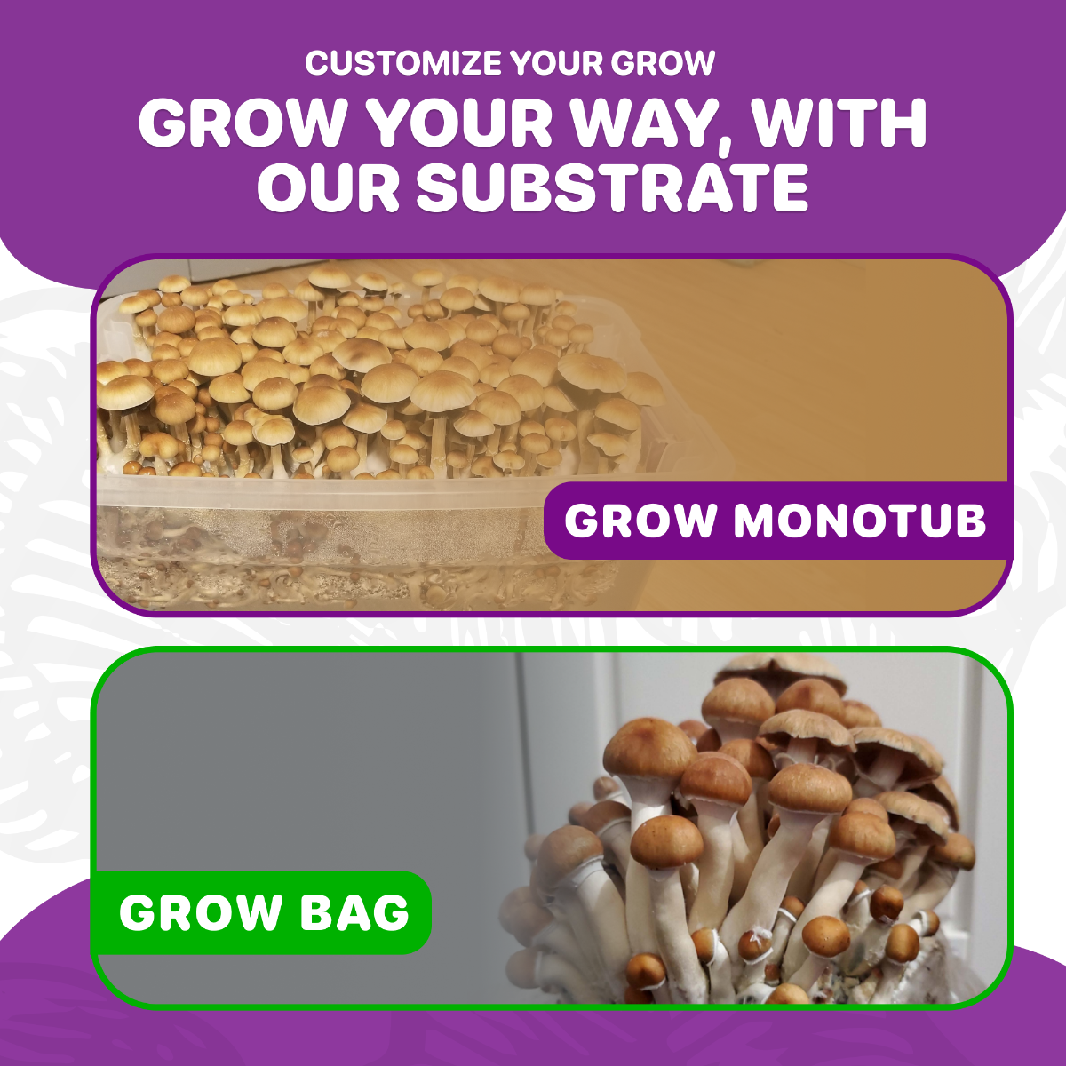 AN IMAGE OF GROW MONOTUB AND GROW BAG