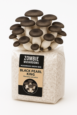 Black Pearl King Mushroom Grow Kit - Ready To Fruit Mushroom Bag - 5lb