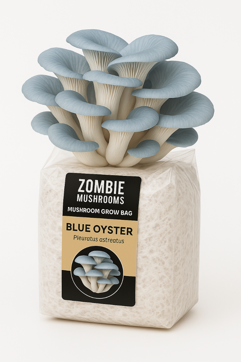 Blue Oyster Mushroom Grow Kit - Ready To Fruit Mushroom Bag - 5lb