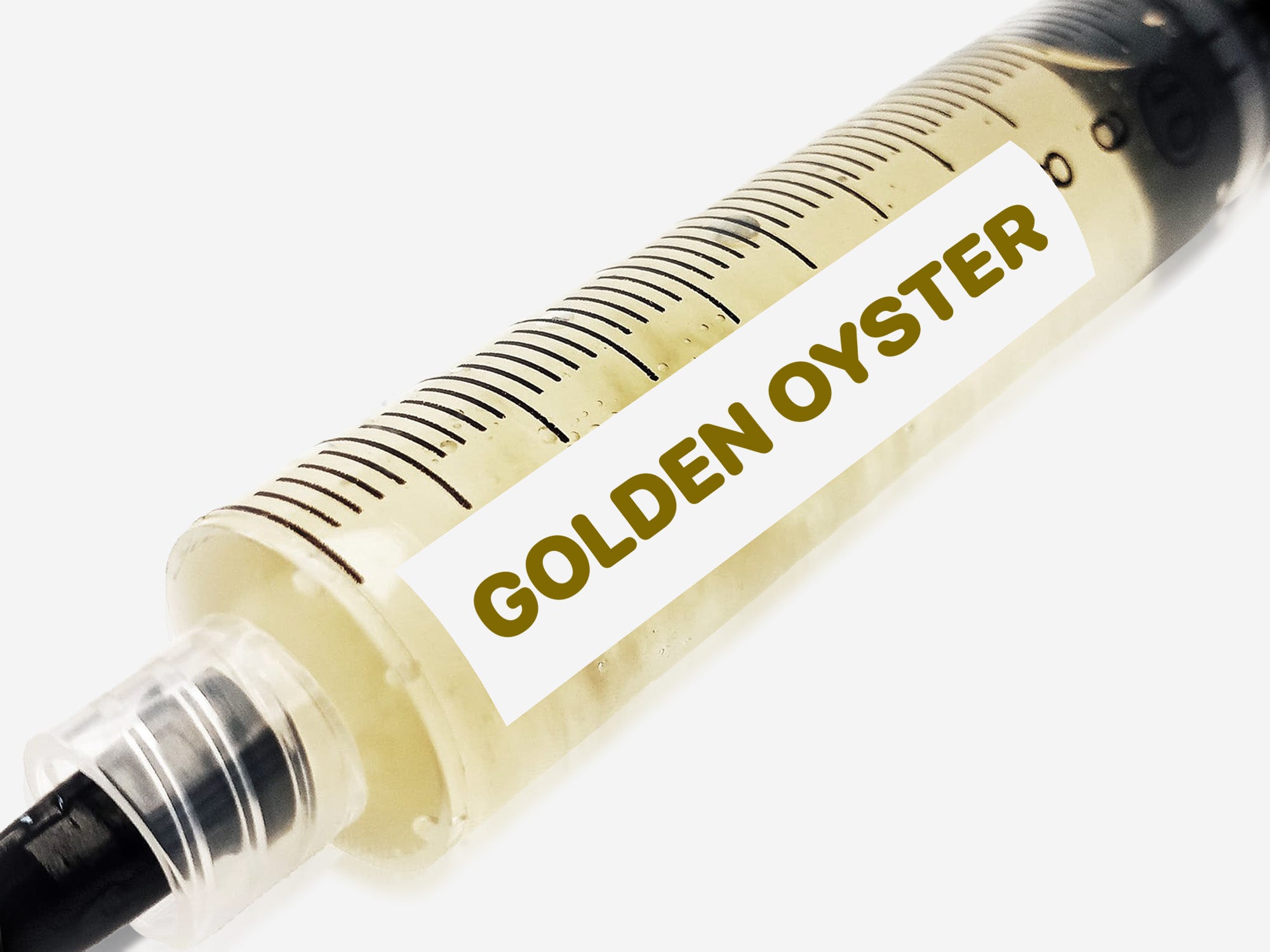 Golden Oyster Liquid Culture Syringe 10mL