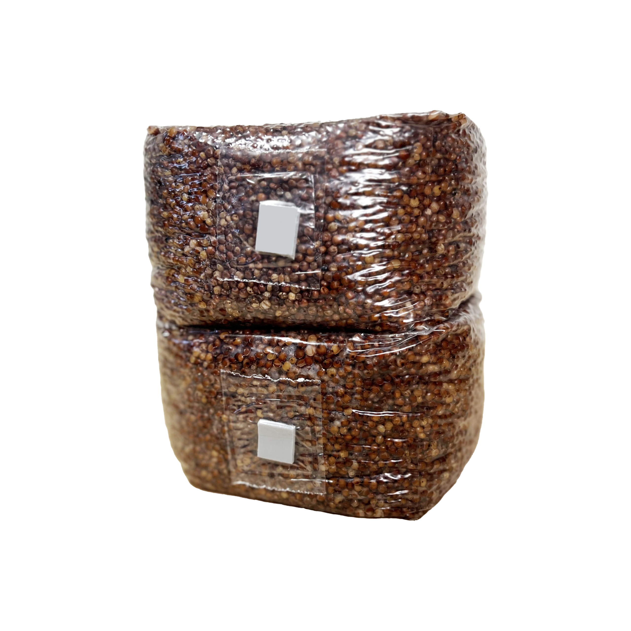 Grain Spawn Bag (3lb) - Mushroom Grain Bag - Sterile