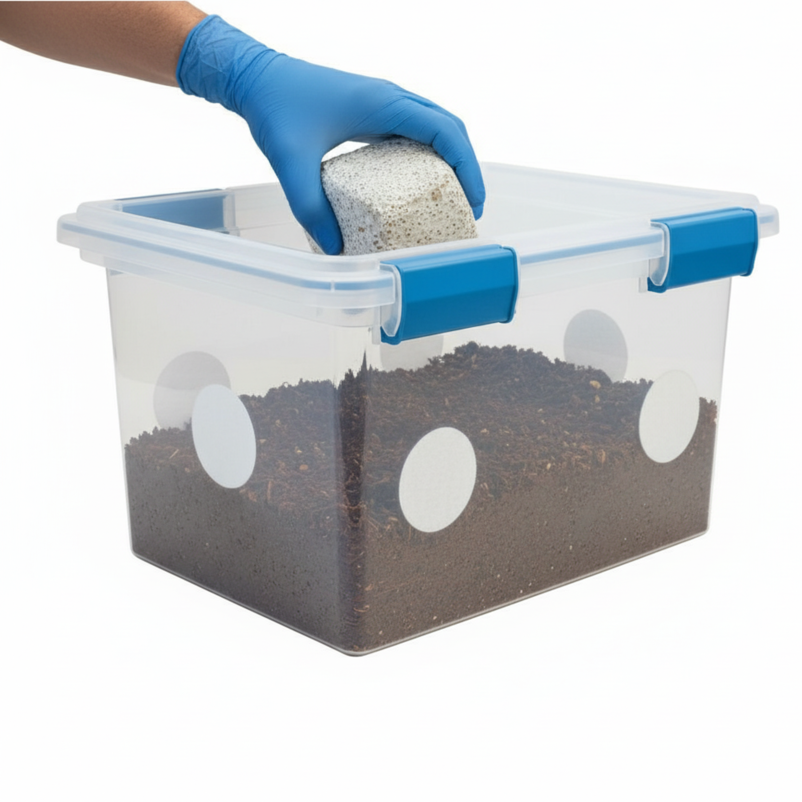 Grain Spawn Bag (3lb) - Mushroom Grain Bag - Sterile