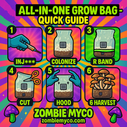 5lb Jumbo Mushroom Grow Bag | All In One Mushroom Grow Kit