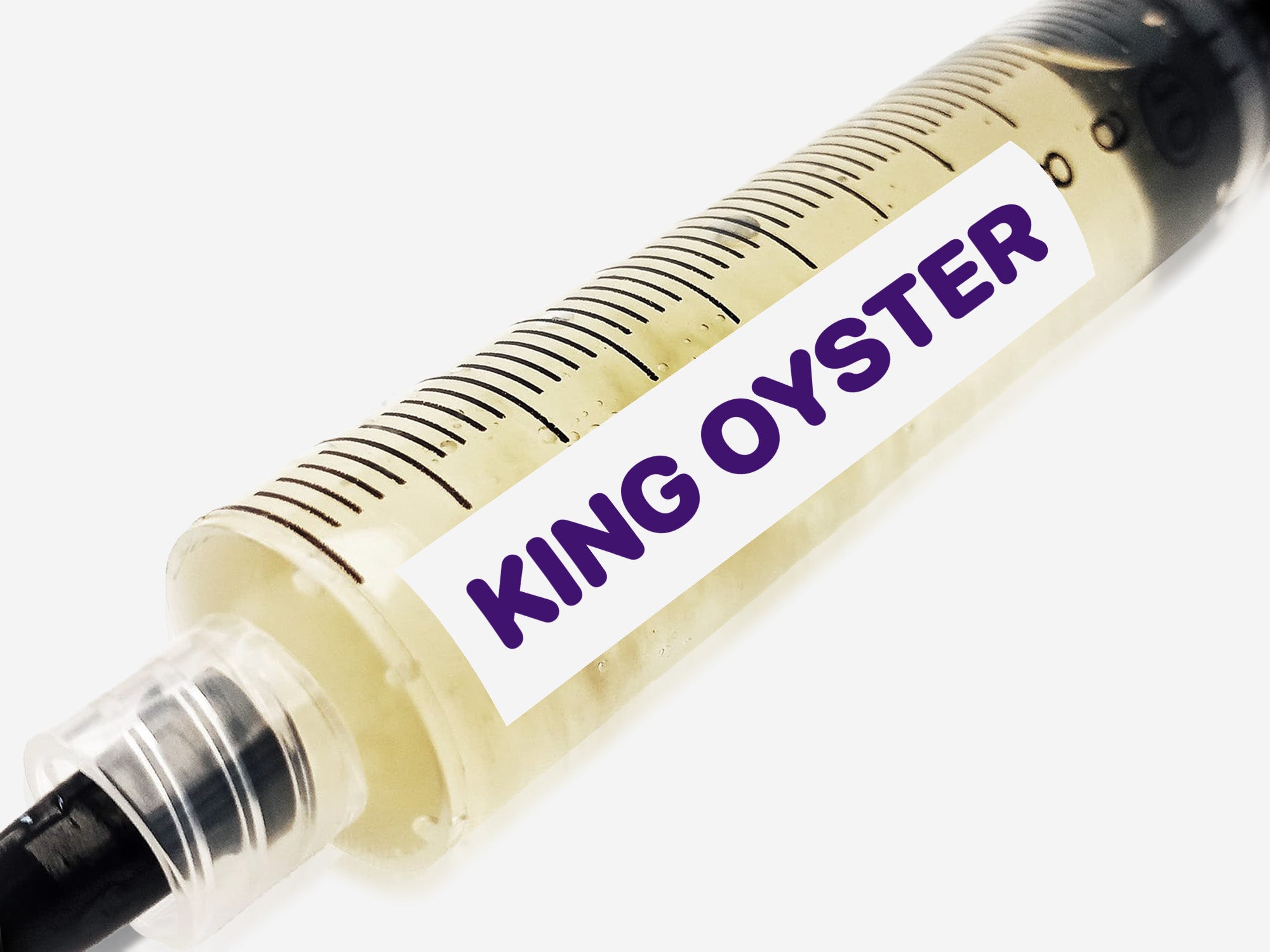 King Oyster Liquid Culture Syringe 10mL