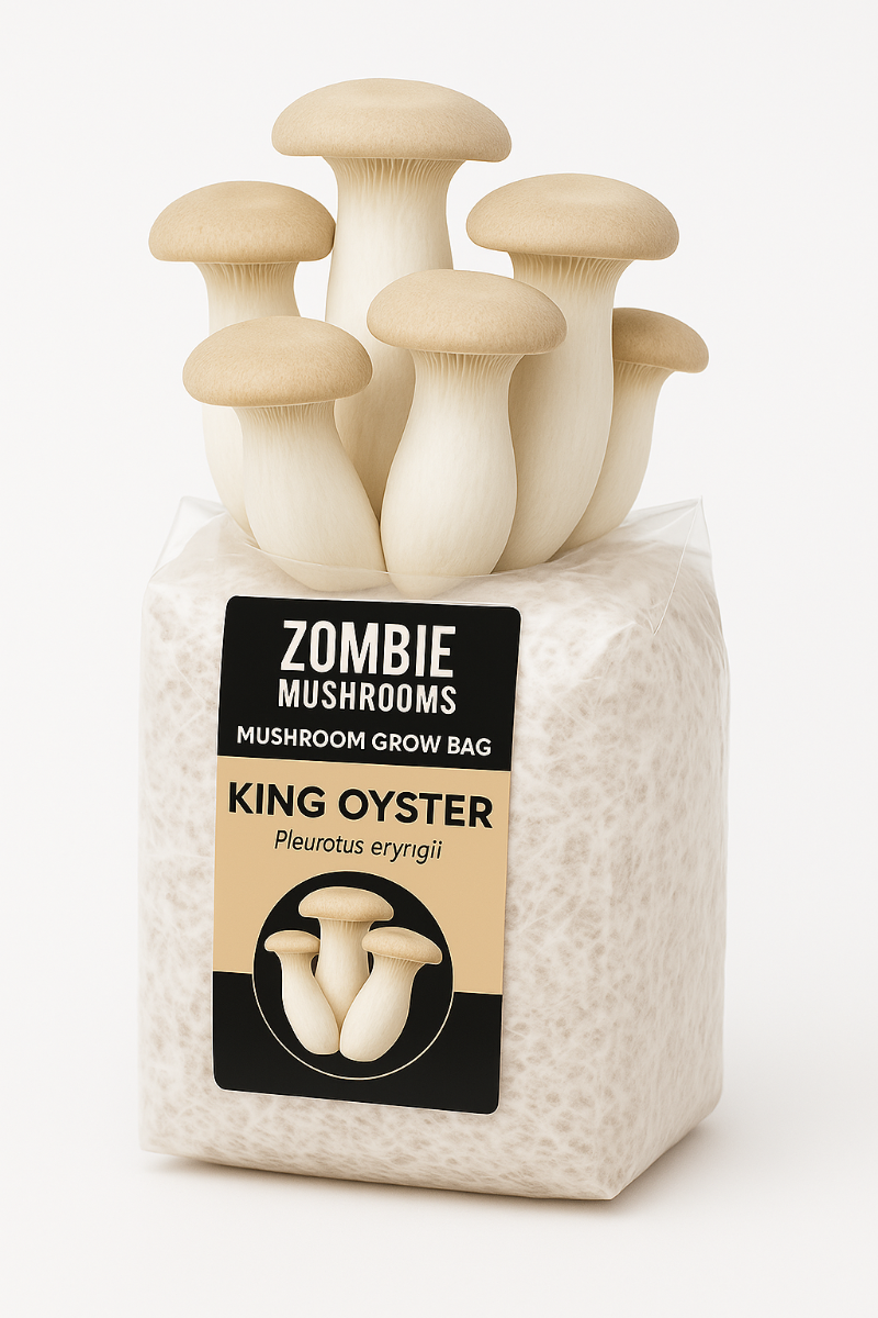 King Oyster Mushroom Grow Kit - Ready To Fruit Mushroom Bag - 5lb