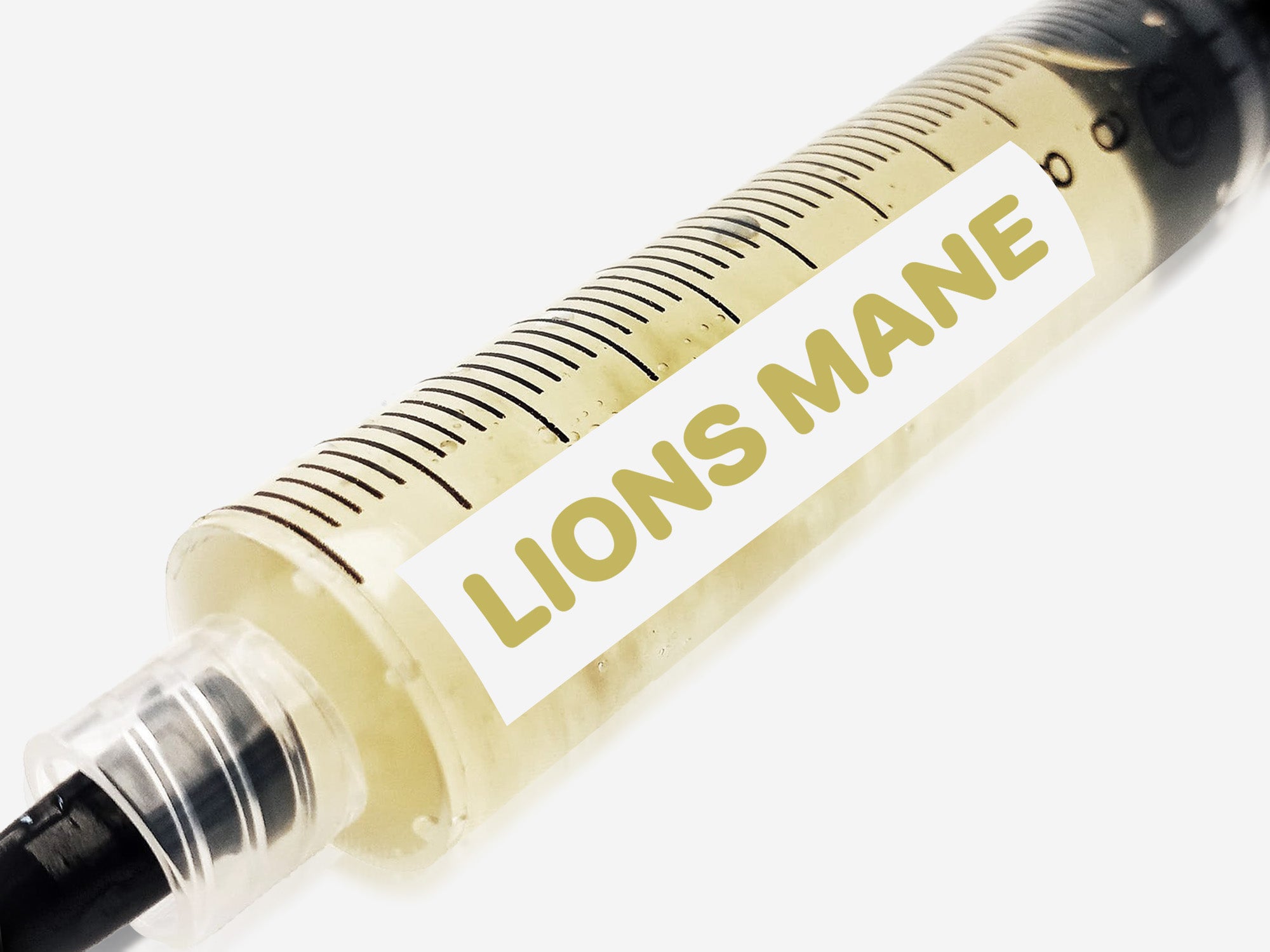 Lions Mane Liquid Culture Syringe 10mL