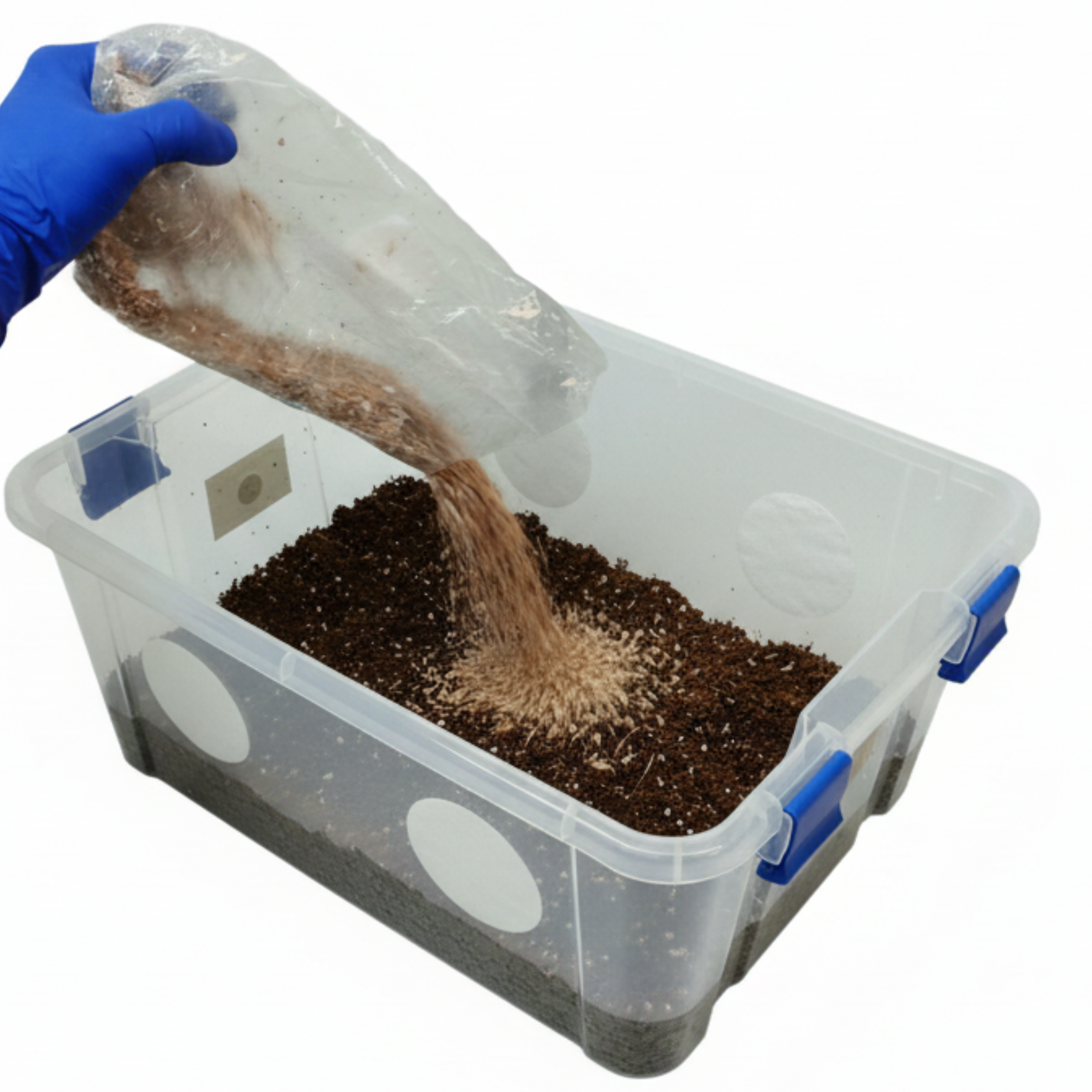 Mushroom Monotub Kit