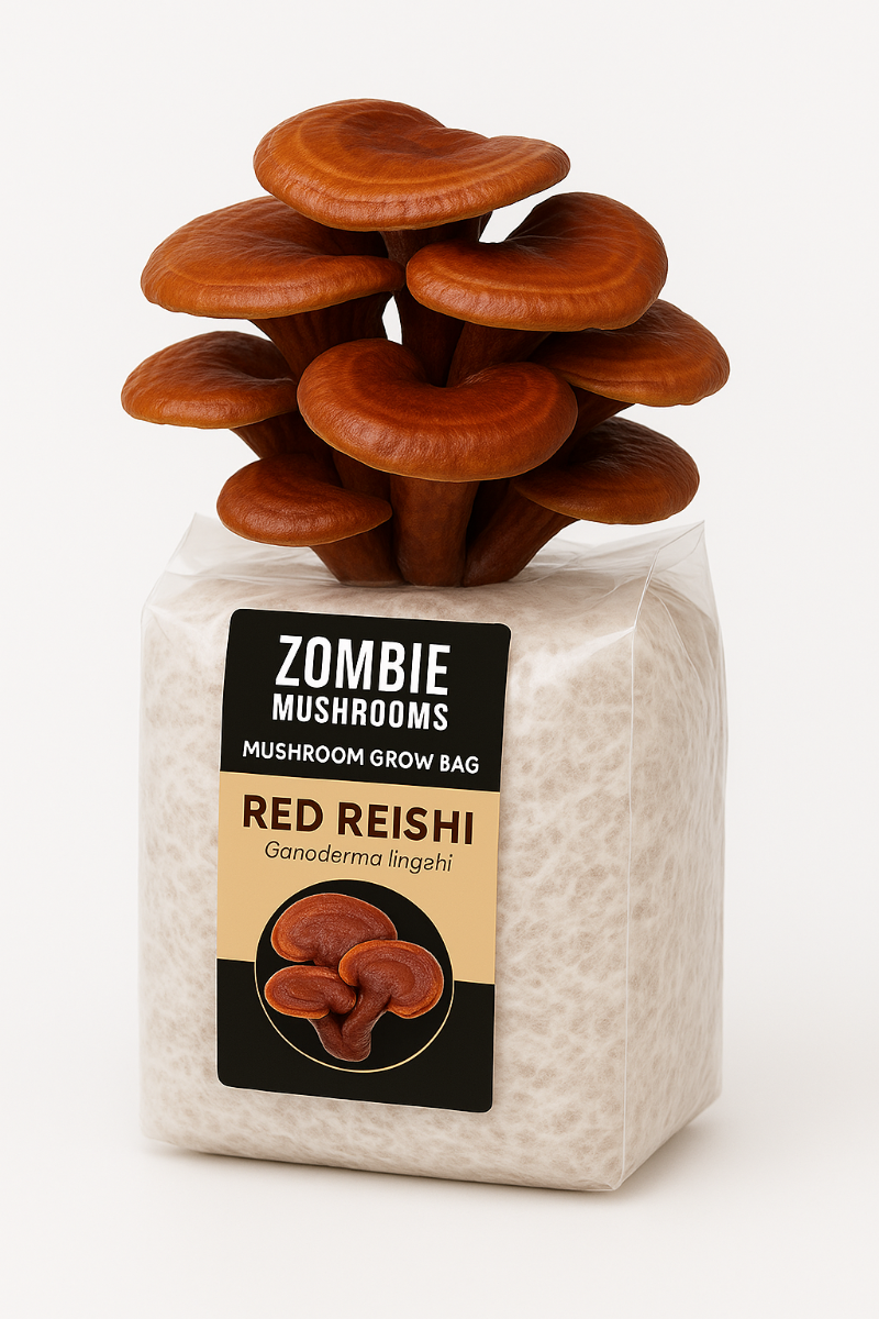Red Reishi Mushroom Grow Kit - Ready To Fruit Mushroom Bag - 5lb