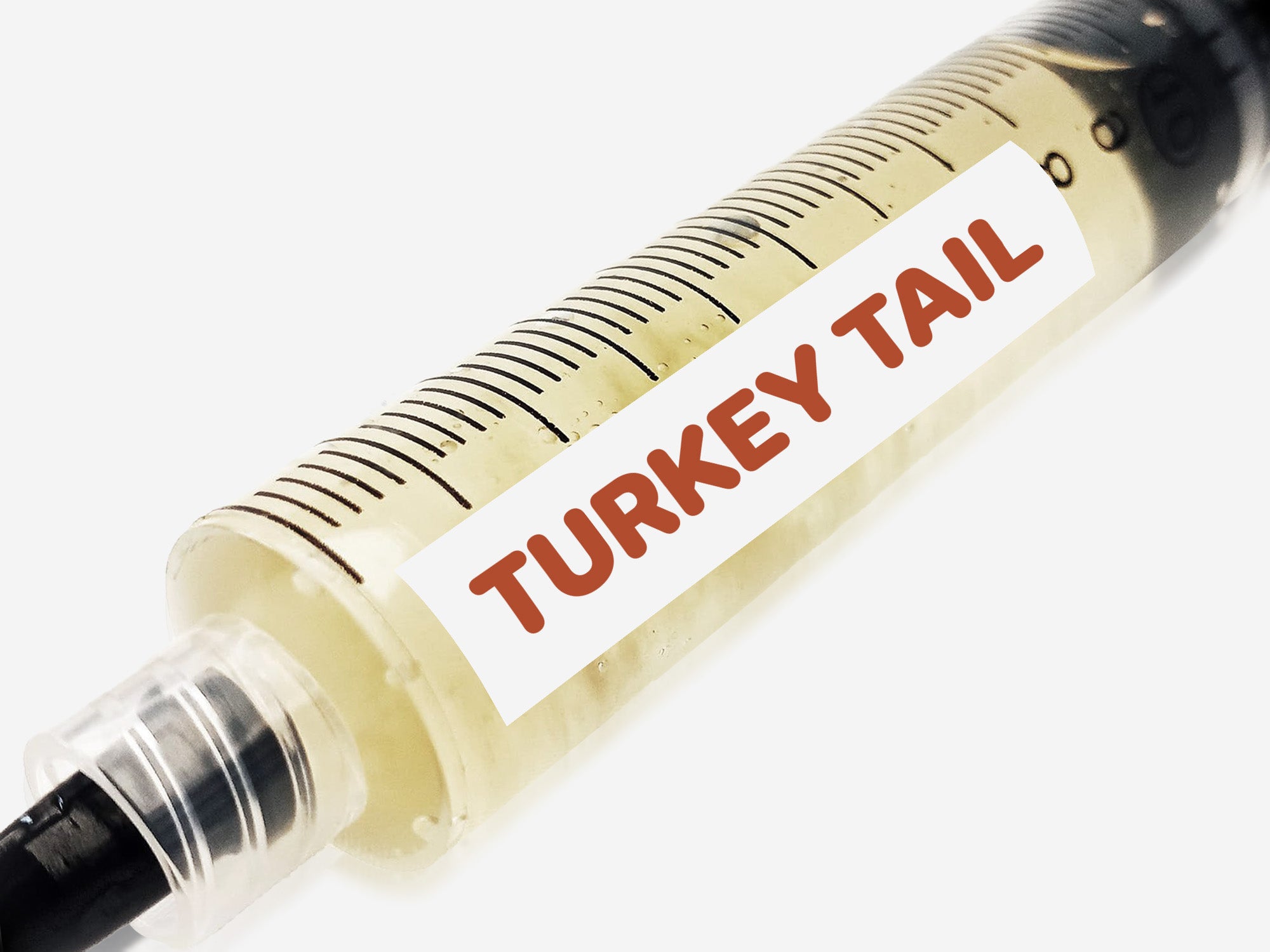 Turkey Tail Liquid Culture Syringe 10mL