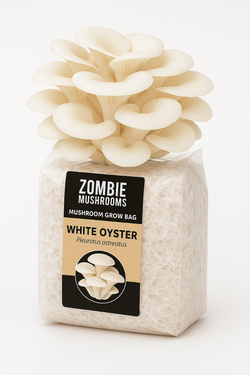 White Oyster Mushroom Grow Kit - Ready To Fruit Mushroom Bag - 5lb