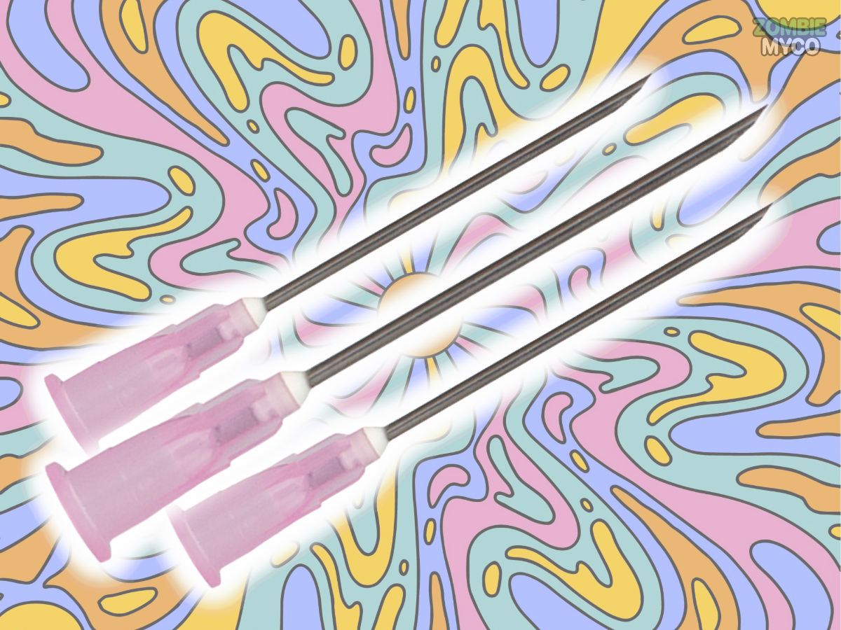 A sample of 16 Ga Luer Lock Needle - Sterile