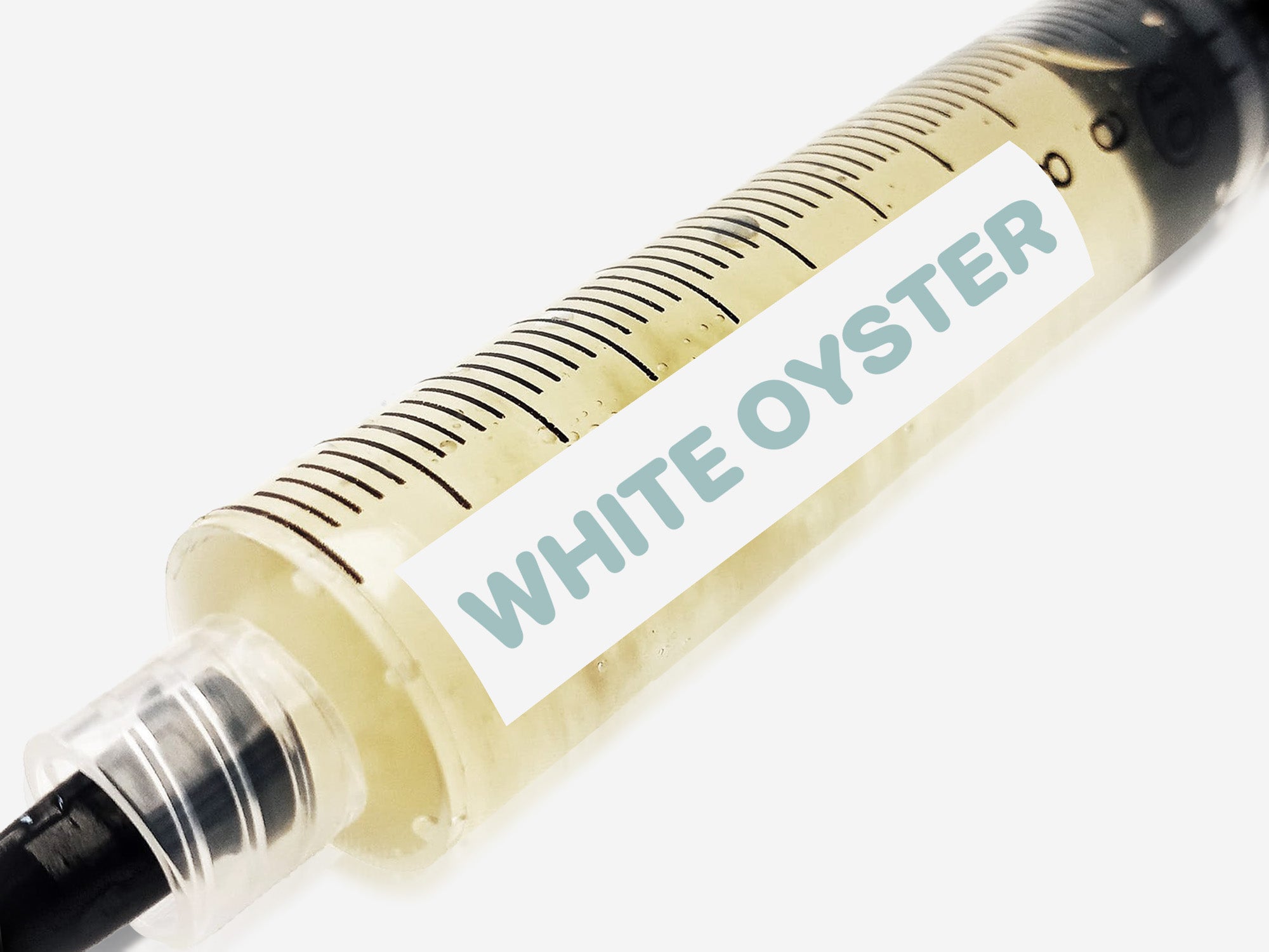 White Oyster Liquid Culture Syringe 10mL