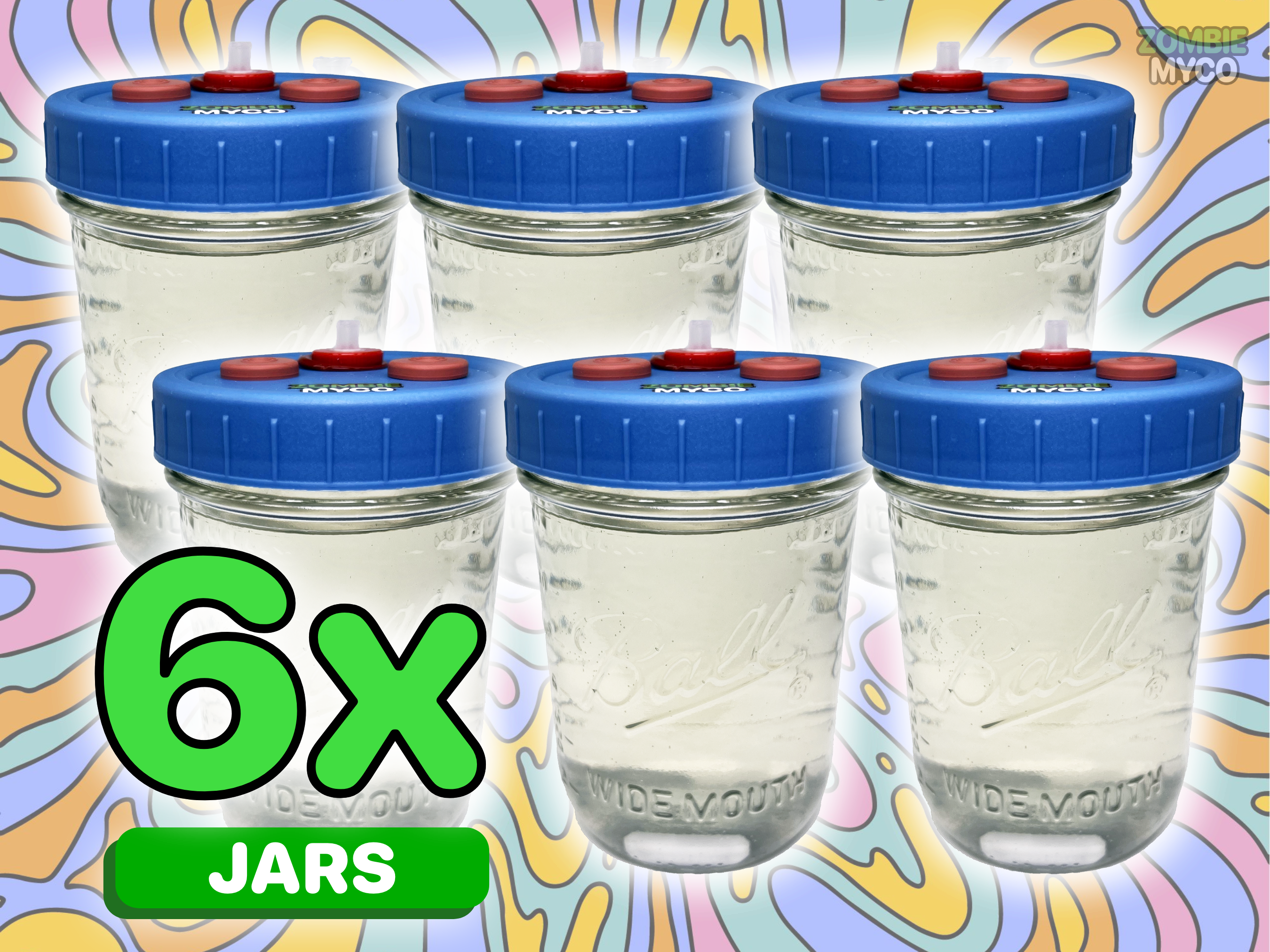 Liquid Culture Jar - Mushroom Liquid Culture Solution (6x)