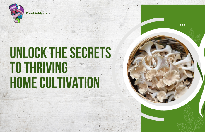 Mushroom Grow Bags: Unlock the Secrets to Thriving Home Cultivation