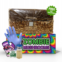 5lb Jumbo Mushroom Grow Bag |  All In One Mushroom Grow Kit