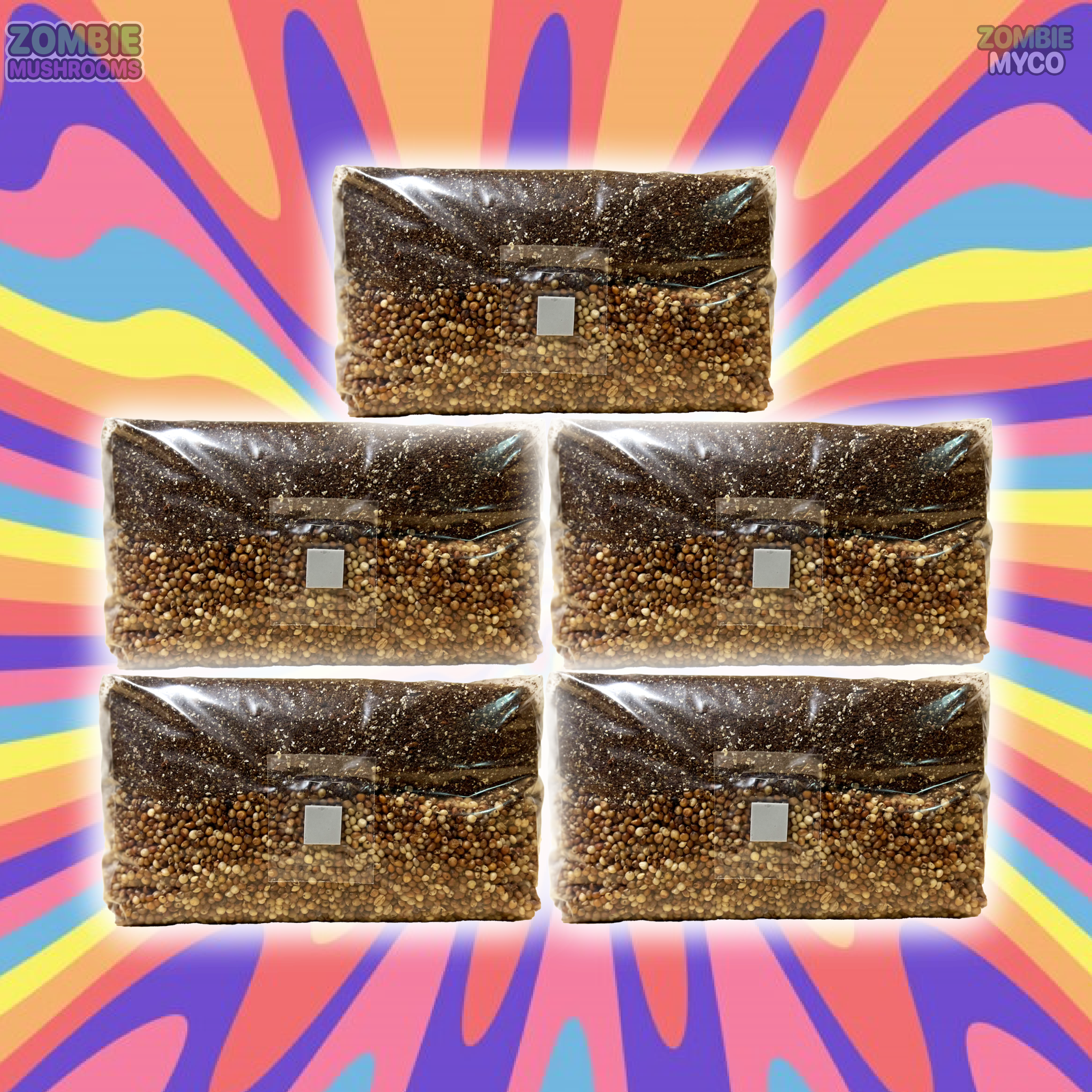 Grain and Substrate - Mushroom Grow Bag - All In One Mushroom Grow Kit