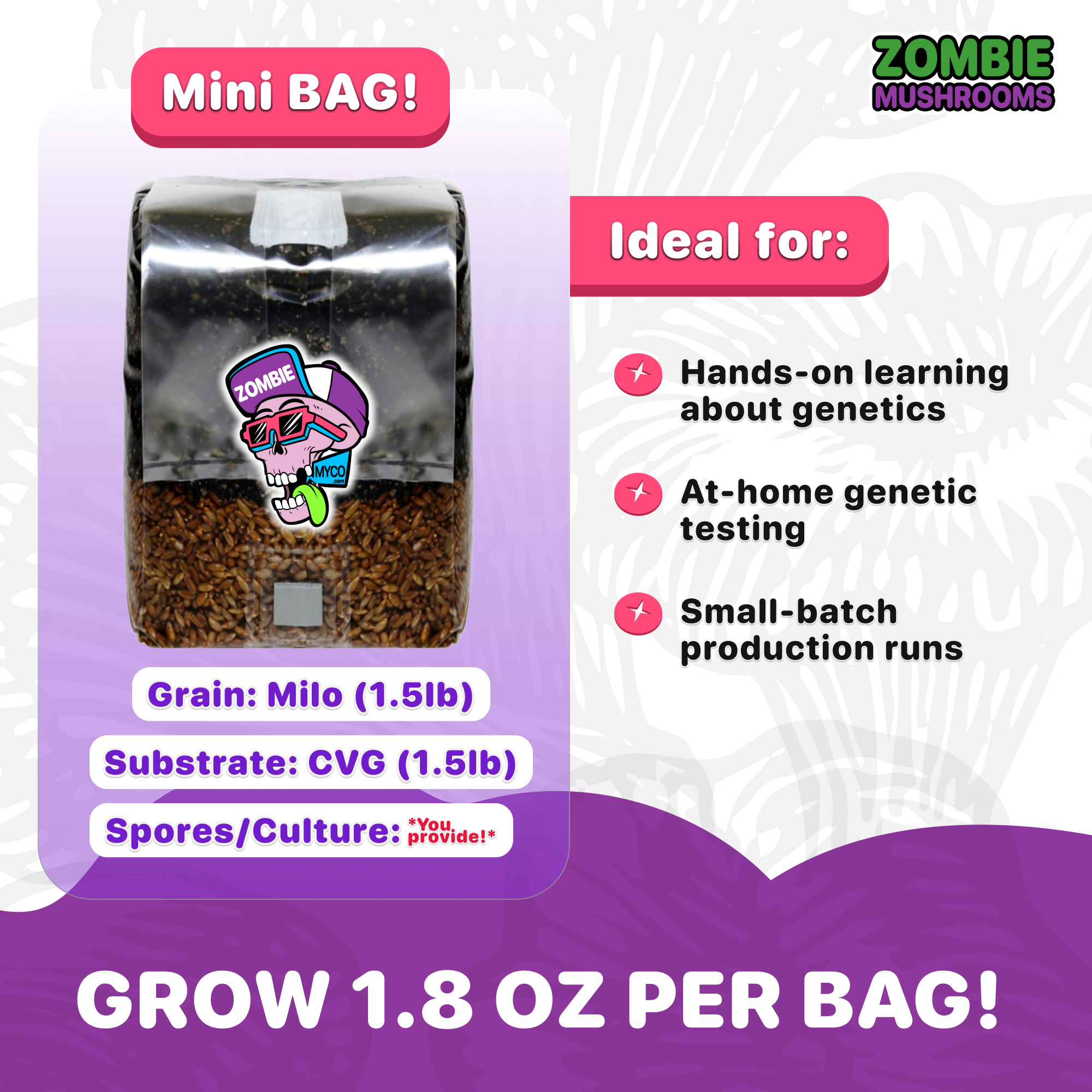 Mini Bag Image - "MINI " Mushroom Grow Bag - 3lb