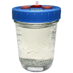 Liquid Culture Jar - Mushroom Liquid Culture Solution - Wide Mouth