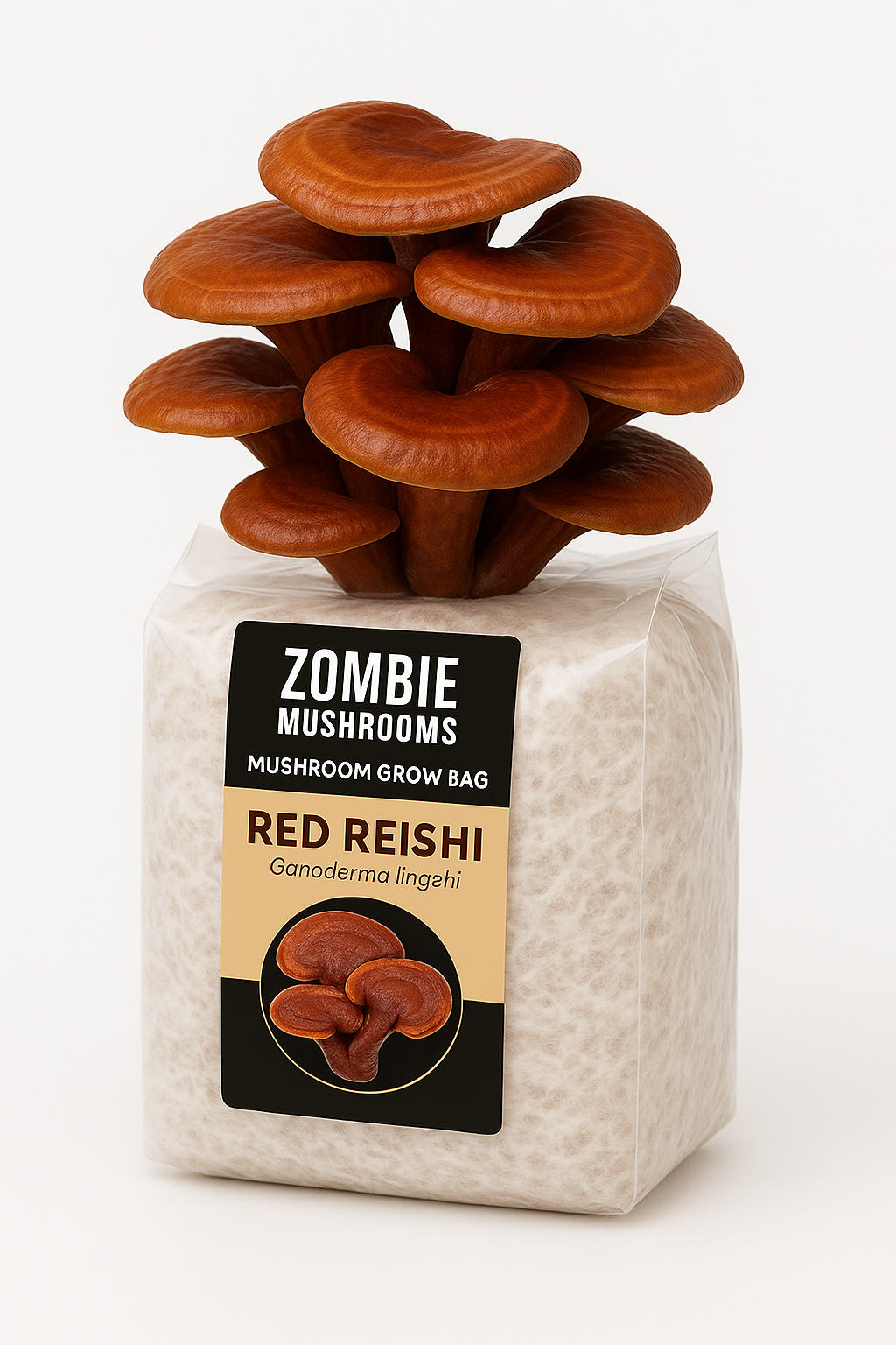 Red Reishi Mushroom Grow Kit - Ready To Fruit Mushroom Bag - 5lb