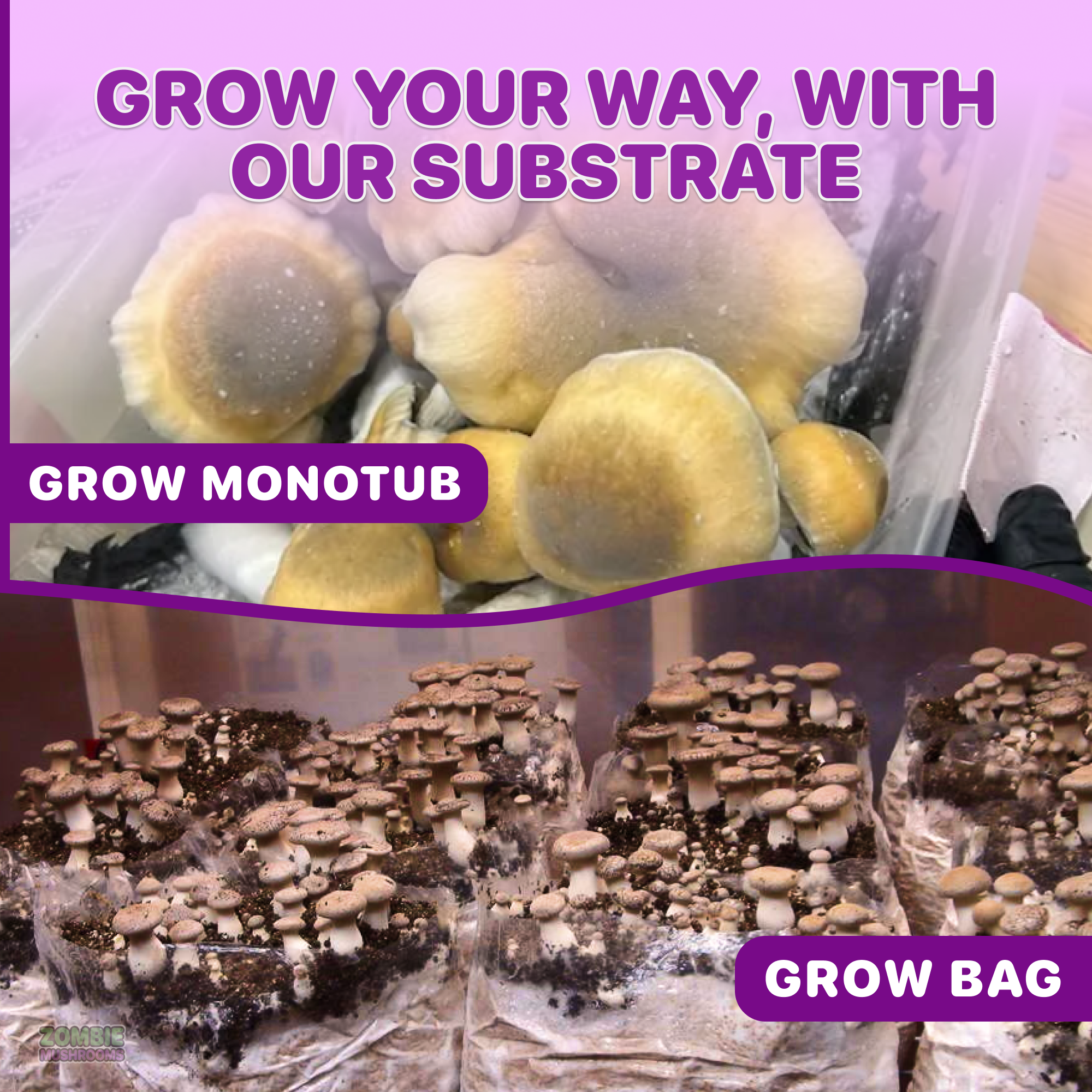grow your way with our substrate ( grow monotub and grow bag)