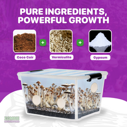 PURE INGREDIENTS ( coco coir + vermiculite + gypsum )