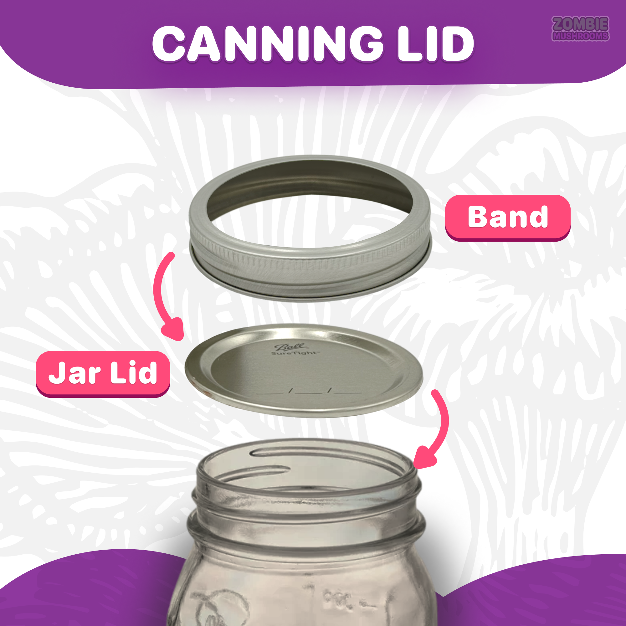 an image of canning lid - showing band and jar lid