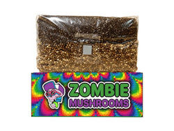 5lb Jumbo Size | Mushroom Grow Bag |  All In One Mushroom Grow Kit (5lb)