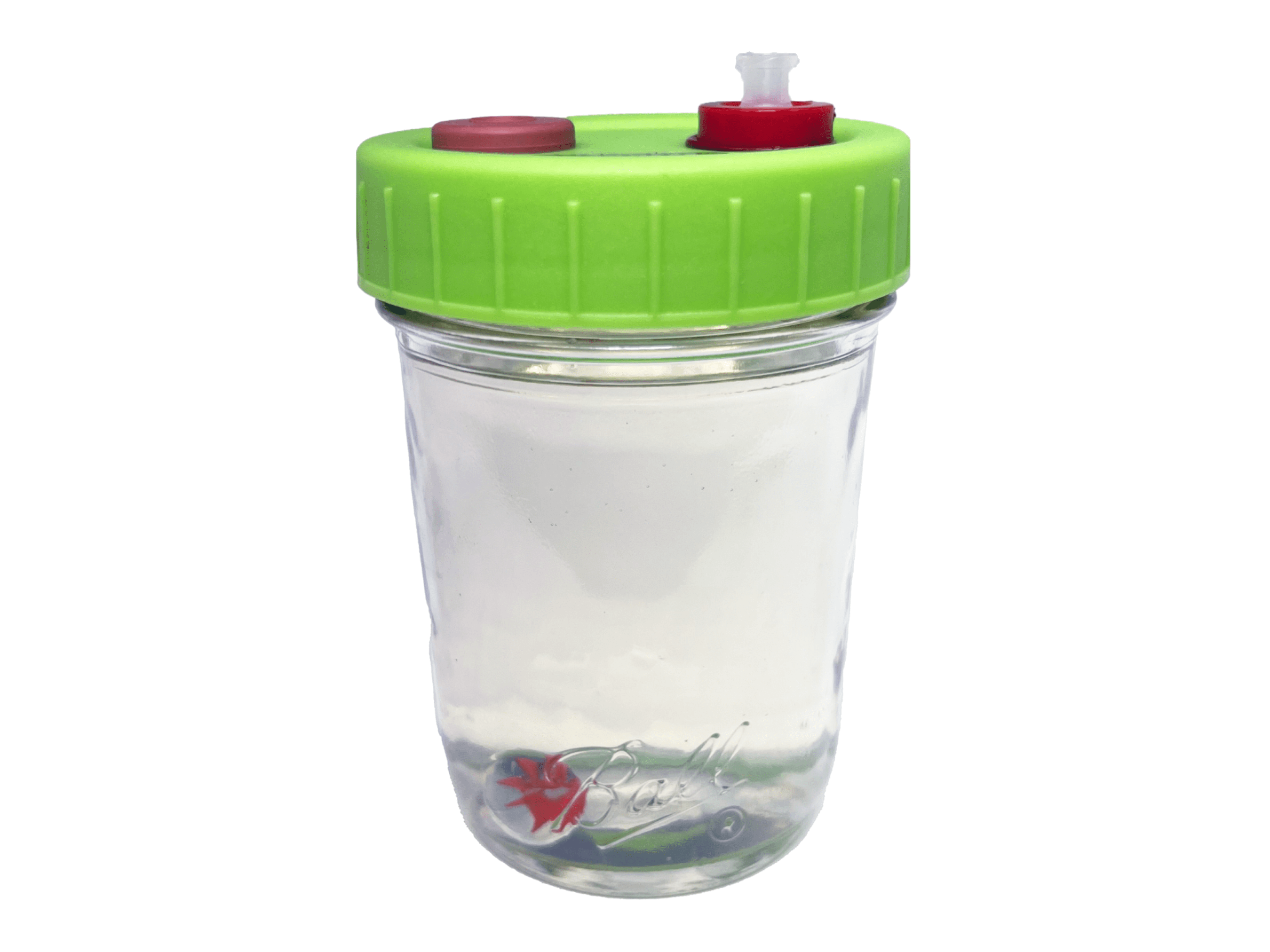 Liquid Culture Solution - Mushroom Liquid Culture Jar - Regular Mouth