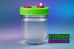 liquid culture jar