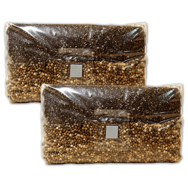 Mushroom Grow Bag - All In One - 2x