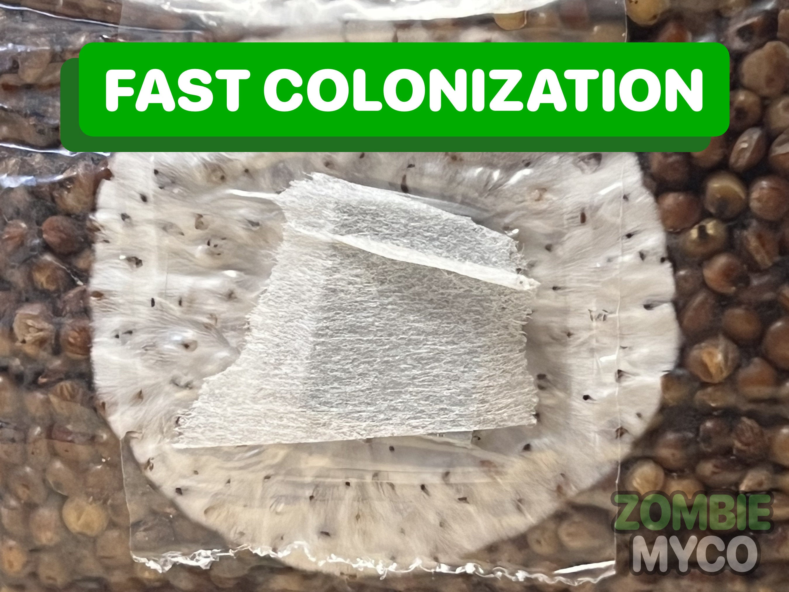Fast Colonization Image - 5lb Mushroom Grow Bag - All In One Mushroom Grow Kit Media