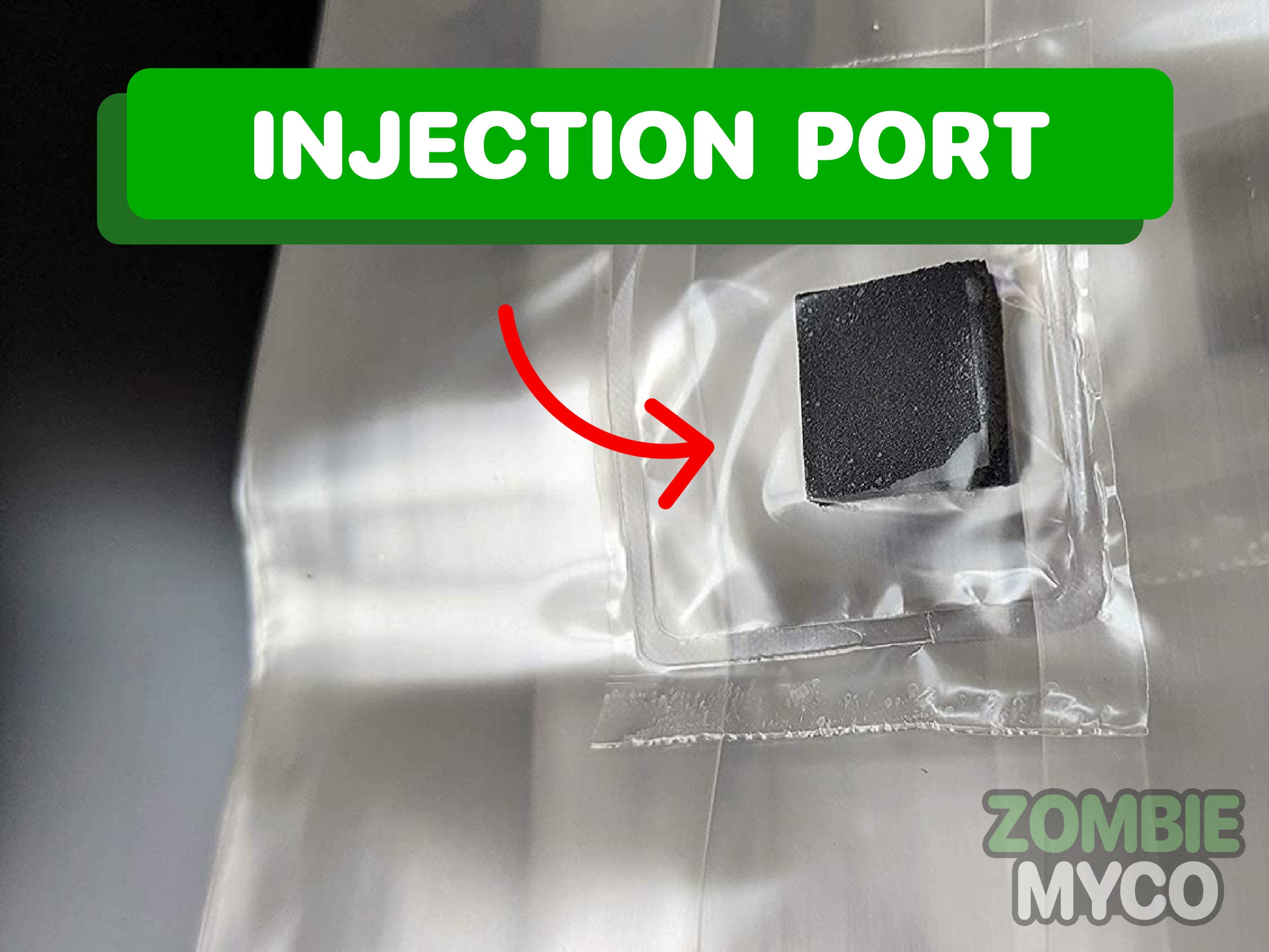 Injection Port - 5lb Mushroom Grow Bag - All In One Mushroom Grow Kit Media