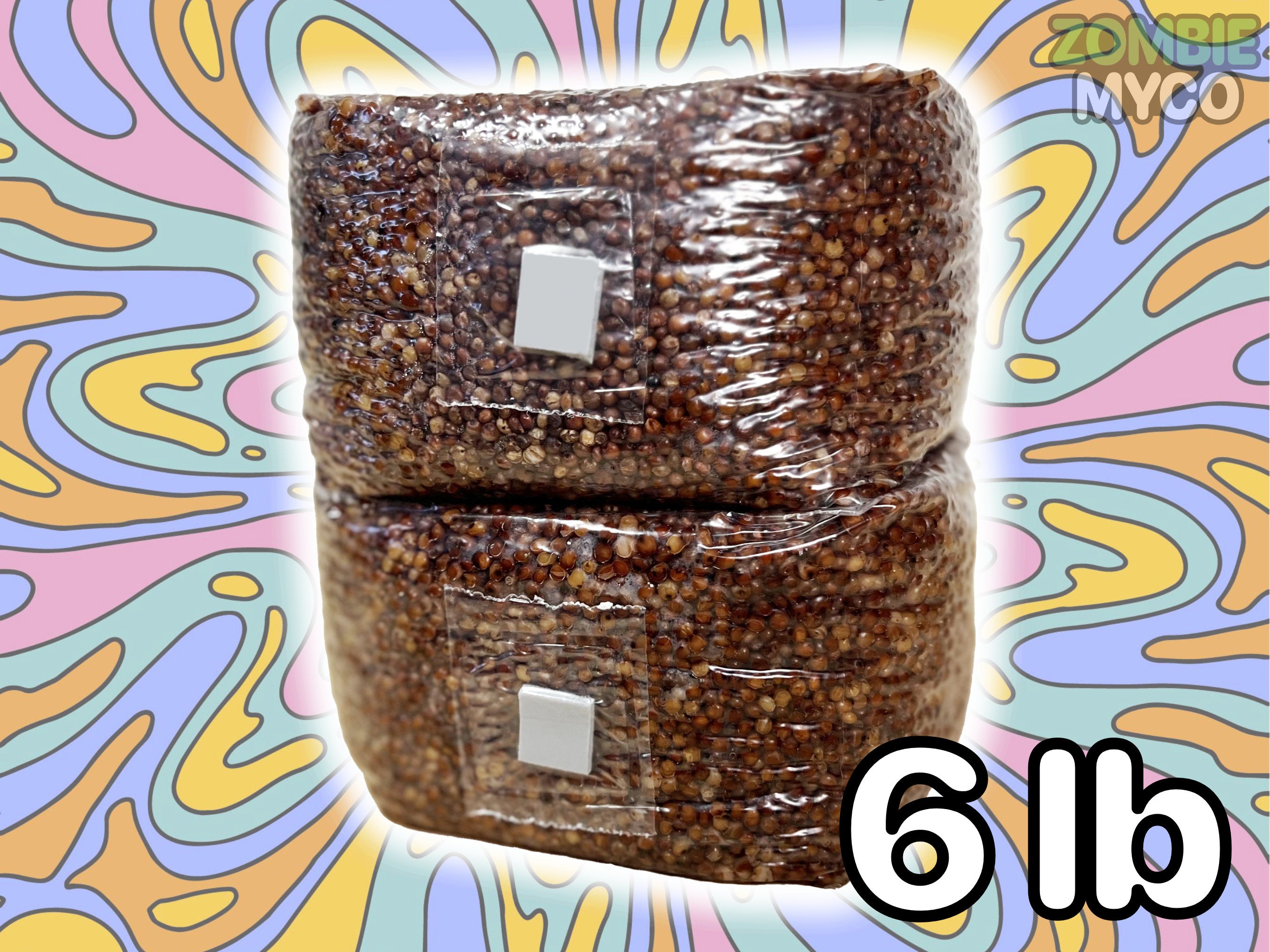 6 lb Grain Spawn Bags (2x)