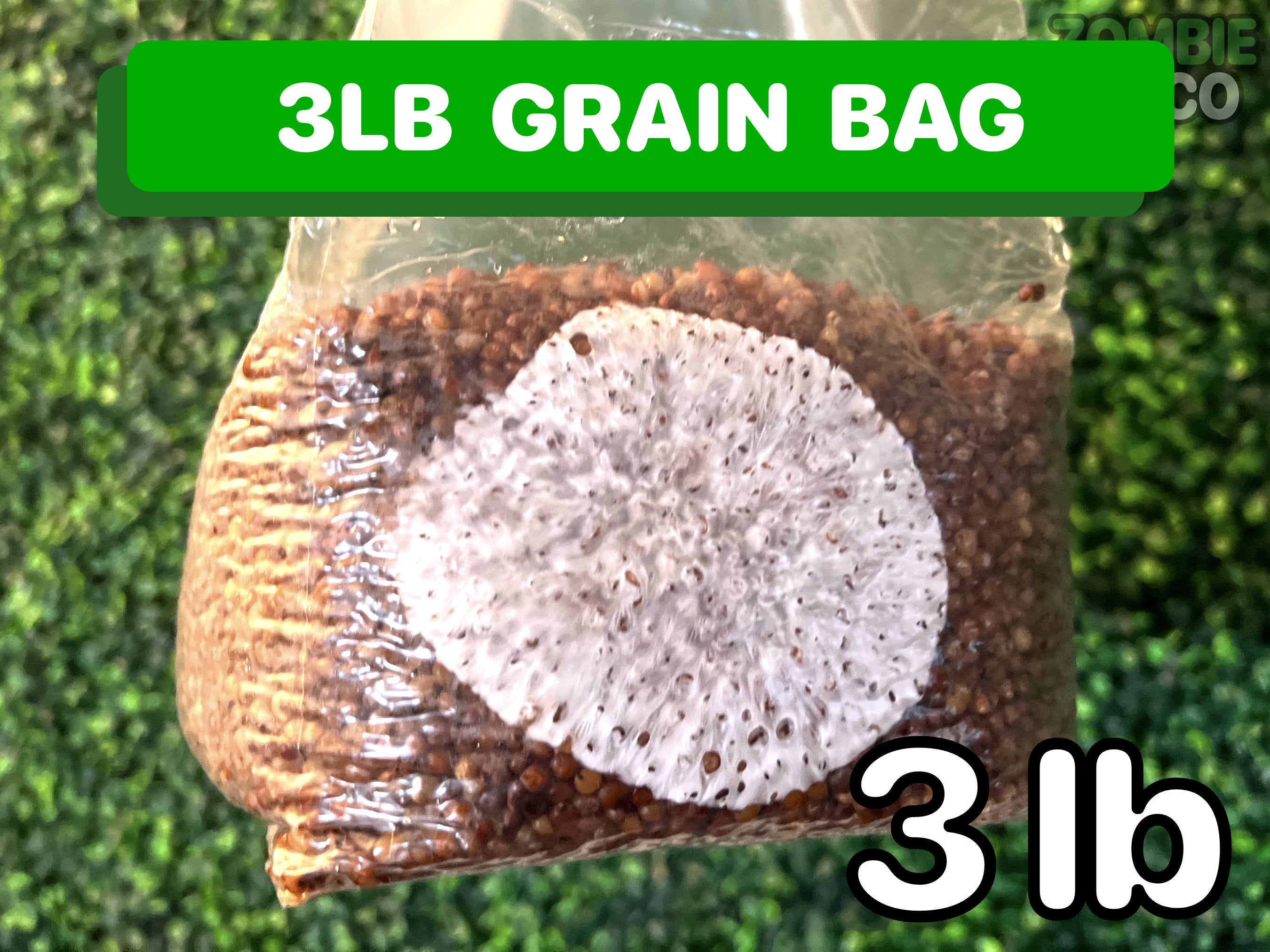 a sample of 3LB Grain Bag
