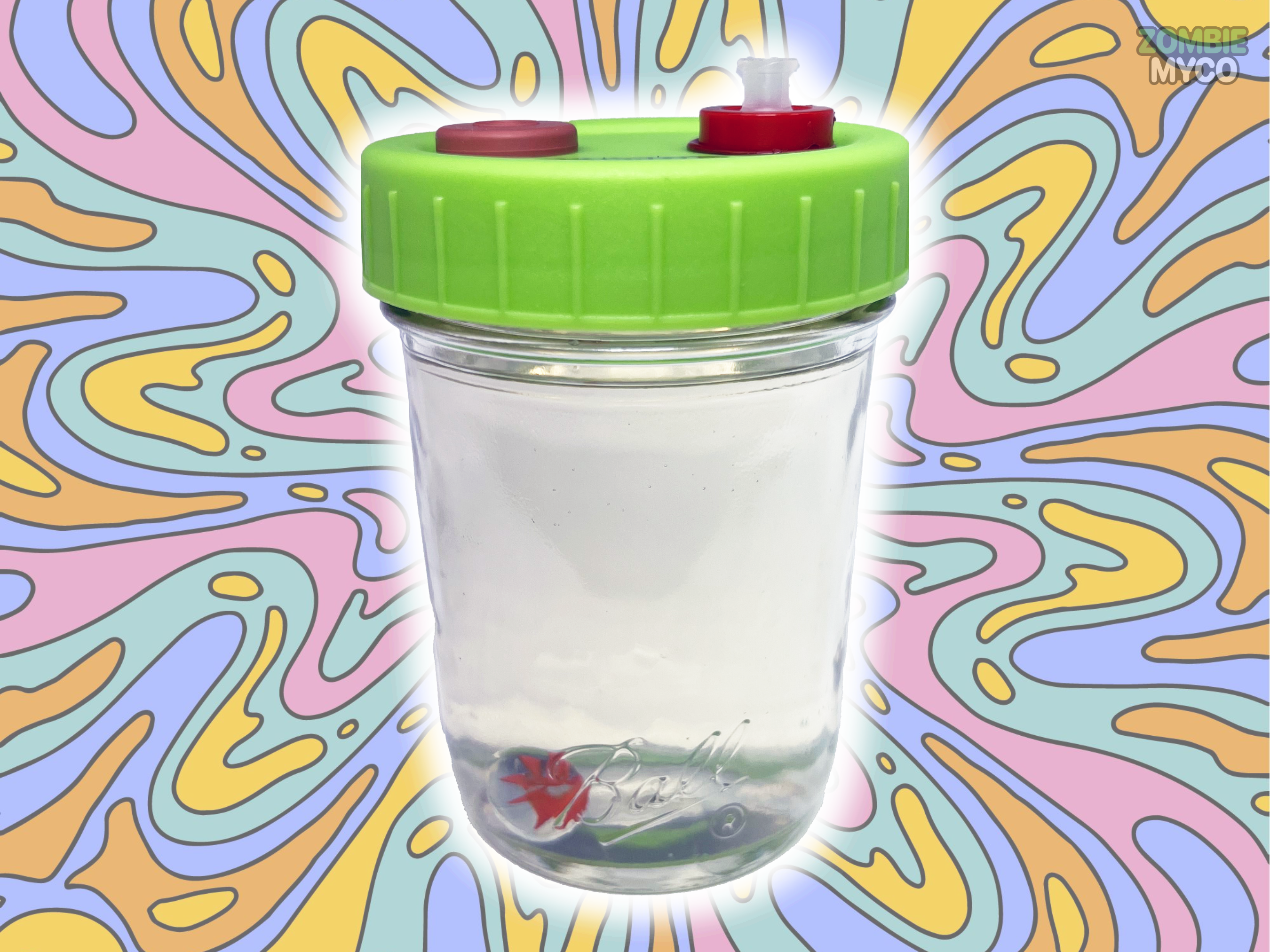 a sample of the Liquid Culture Solution - Mushroom Liquid Culture jar - regular mouth