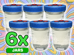 Liquid Culture Jar - Mushroom Liquid Culture Solution (6x)