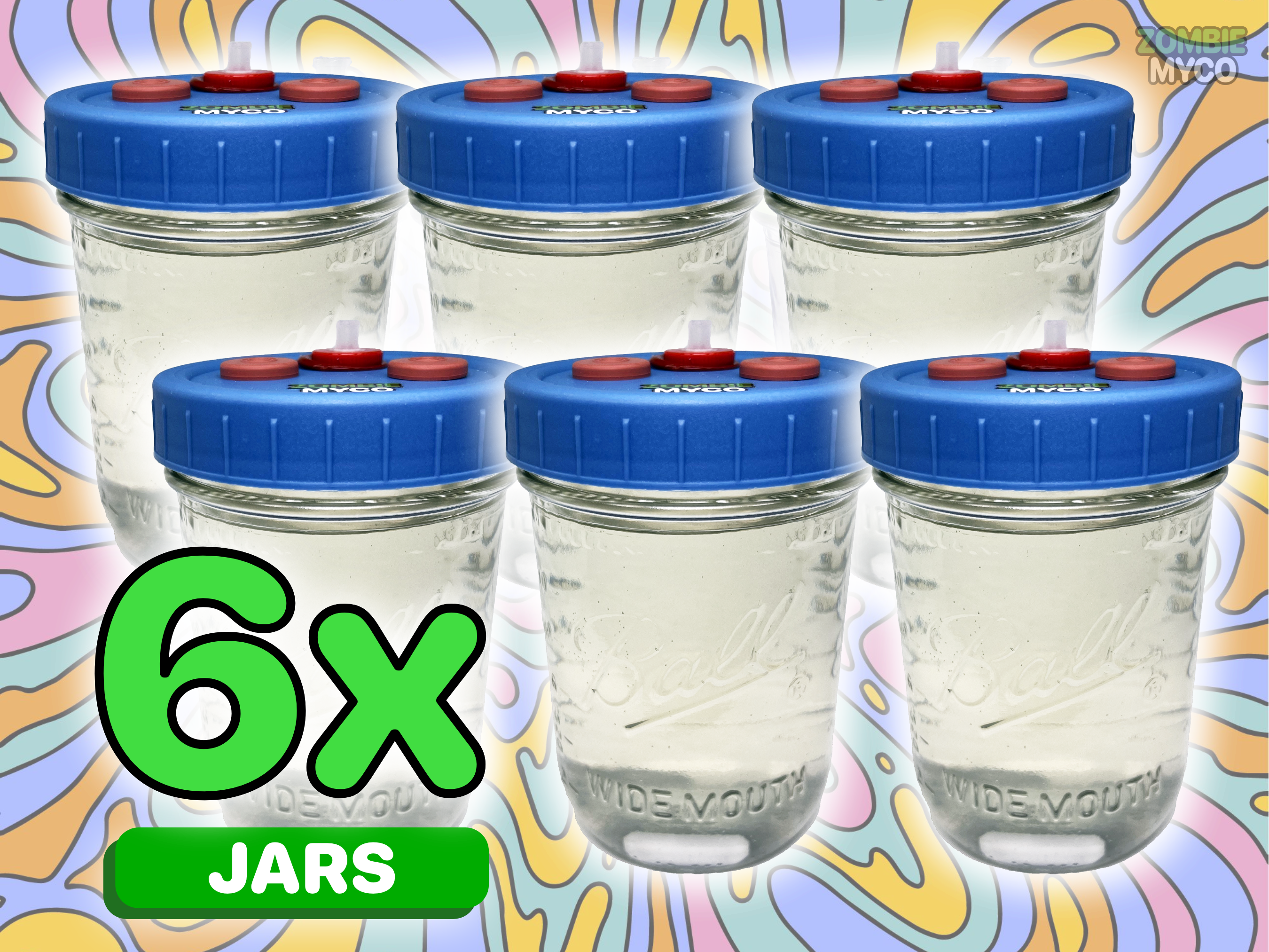 Liquid Culture Solution - Quart Jar - Magnetic Stir Bar - PTFE 0.22um  Syringe Filter